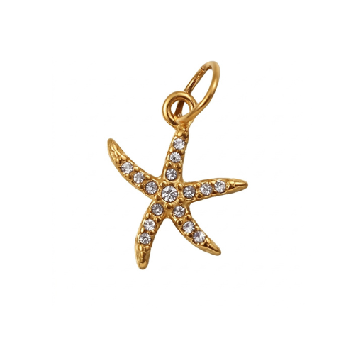 Starfish Charm