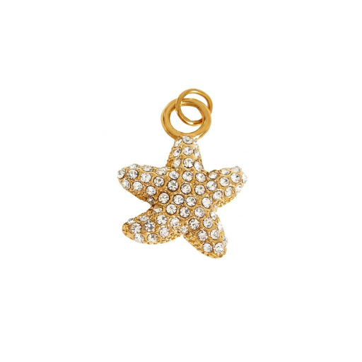 Star Charm